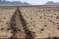 Islamic Emirate Distributes Land to 9,352 Returning Families in Past Week