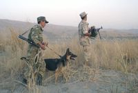 Tajikistan Seizes 58 Kilograms of Drugs Smuggled from Afghanistan