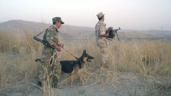 Tajikistan Seizes 58 Kilograms of Drugs Smuggled from Afghanistan