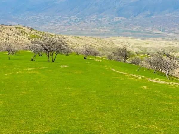 Carpet Weaving Industry in Baghlan Grows by 20 Percent