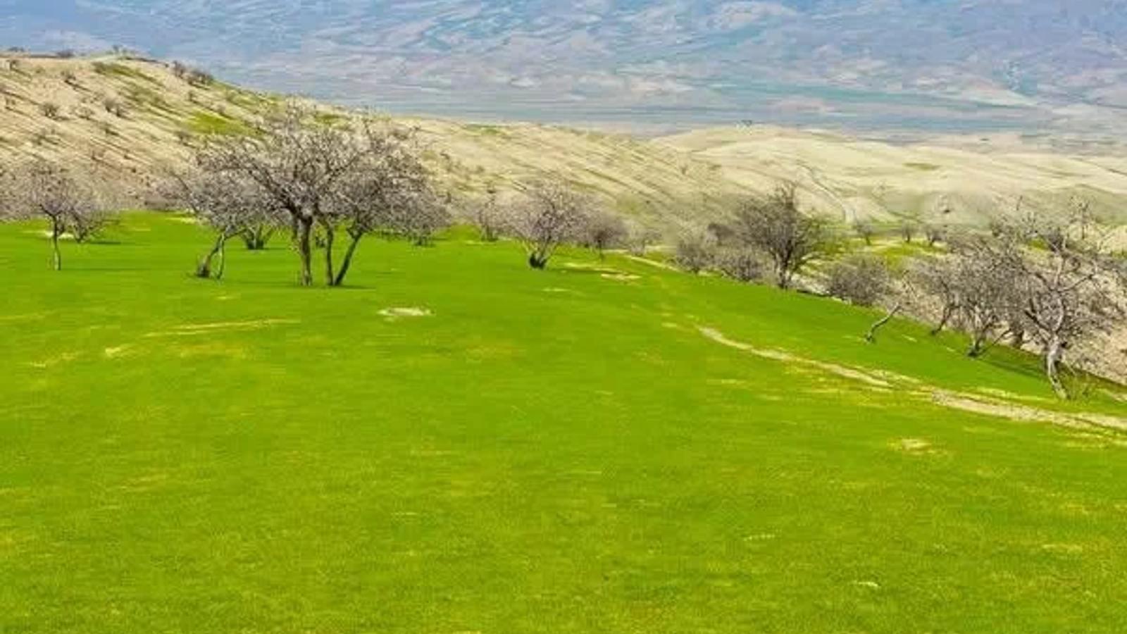 Carpet Weaving Industry in Baghlan Grows by 20 Percent