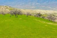 Carpet Weaving Industry in Baghlan Grows by 20 Percent