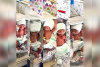 Afghan Woman Gives Birth to Quintuplets Prematurely at Panjshir Maternity Center