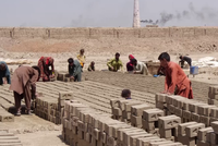 World Day Against Child Labour Highlights Concerns for Children in Afghanistan