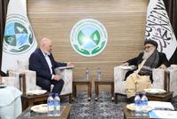 UNDP Commits to Expanding Environmental Cooperation with Afghanistan