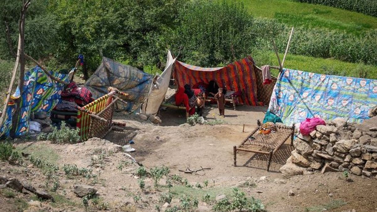 Norwegian Refugee Council warns aid cuts threaten re-displacement of Kunar earthquake victims