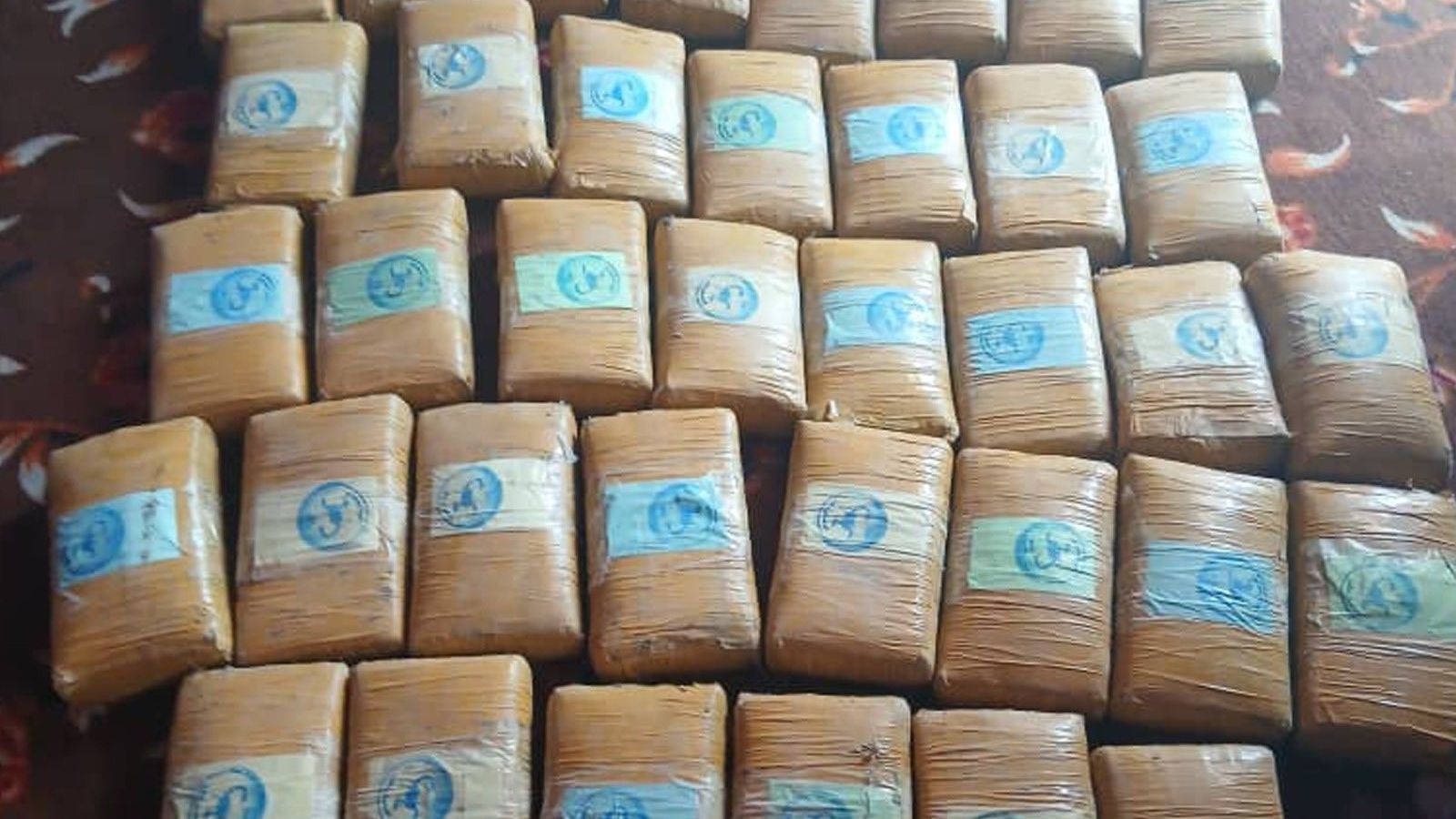 Afghan Ministry of Interior reports seizure of narcotics in Parwan and Badakhshan