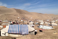 IOM Report: 79% of Internal Displacements in Early 2025 Due to Climate Challenges and Natural Disasters