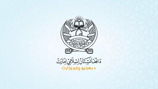 Afghanistan's Foreign Ministry Summons Pakistan Chargé d'Affaires Over Airstrikes