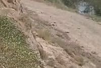Taliban in Takhar Force Local Elders to Accept Land Dispute Ruling