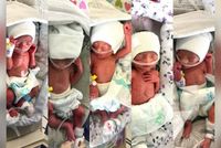 Afghan Woman Gives Birth to Quintuplets at Emergency Hospital
