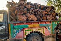 Paktika Authorities Seize Vehicles in Illegal Wood Smuggling Crackdown