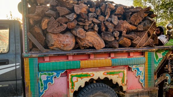 Paktika Authorities Seize Vehicles in Illegal Wood Smuggling Crackdown