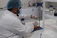 Taliban Arrest Two Doctors in Kandahar Over Mahram Restrictions