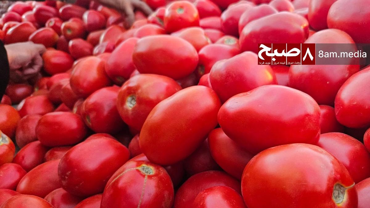 Prices of potatoes and Roman eggplant surge in Kabul markets