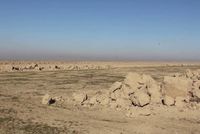Taliban Enact Law for Sale and Distribution of State Land Plots