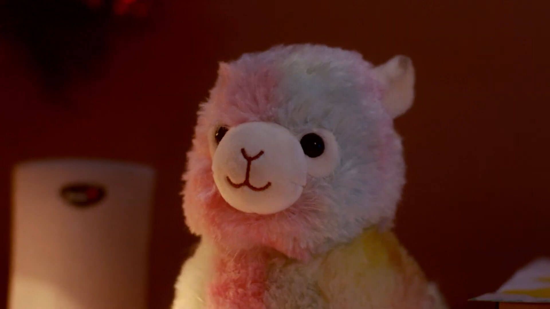 My friend Alpaca