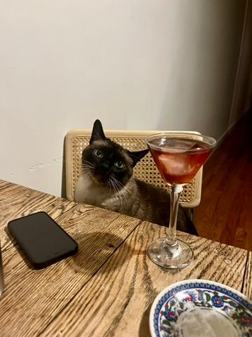 cat​​​​‌﻿‍﻿​‍​‍‌‍﻿﻿‌﻿​‍‌‍‍‌‌‍‌﻿‌‍‍‌‌‍﻿‍​‍​‍​﻿‍‍​‍​‍‌﻿​﻿‌‍​‌‌‍﻿‍‌‍‍‌‌﻿‌​‌﻿‍‌​‍﻿‍‌‍‍‌‌‍﻿﻿​‍​‍​‍﻿​​‍​‍‌‍‍​‌﻿​‍‌‍‌‌‌‍‌‍​‍​‍​﻿‍‍​‍​‍​‍﻿﻿‌﻿​﻿‌﻿‌​‌﻿‌‌‌‍‌​‌‍‍‌‌‍﻿﻿​‍﻿﻿‌‍‍‌‌‍﻿‍‌﻿‌​‌‍‌‌‌‍﻿‍‌﻿‌​​‍﻿﻿‌‍‌‌‌‍‌​‌‍‍‌‌﻿‌​​‍﻿﻿‌‍﻿‌‌‍﻿﻿‌‍‌​‌‍‌‌​﻿﻿‌‌﻿​​‌﻿​‍‌‍‌‌‌﻿​﻿‌‍‌‌‌‍﻿‍‌﻿‌​‌‍​‌‌﻿‌​‌‍‍‌‌‍﻿﻿‌‍﻿‍​﻿‍﻿‌‍‍‌‌‍‌​​﻿﻿‌​﻿‌​​﻿‌‍‌‍‌‌‌‍​﻿​﻿​‌​﻿‌‌‌‍​‍‌‍‌‌​‍﻿‌​﻿‌‍​﻿‌﻿​﻿‌﻿​﻿‌﻿​‍﻿‌​﻿‌​​﻿​﻿‌‍​﻿​﻿‌‌​‍﻿‌​﻿‍​​﻿‌‍​﻿‍‌​﻿‌﻿​‍﻿‌​﻿​​​﻿​﻿​﻿‌​​﻿​﻿​﻿​‍​﻿‌‌​﻿‍‌‌‍‌​​﻿‍​​﻿​‍‌‍‌‍​﻿​‍​﻿‍﻿‌﻿‌​‌﻿‍‌‌﻿​​‌‍‌‌​﻿﻿‌‌﻿​​‌‍﻿﻿‌﻿​﻿‌﻿‌​​﻿‍﻿‌﻿​​‌‍​‌‌﻿‌​‌‍‍​​﻿﻿‌‌‍​‍‌‍﻿﻿‌‍‌​‌﻿‍‌​‍‌‌​﻿‌‌‌​​‍‌‌﻿﻿‌‍‍﻿‌‍‌‌‌﻿‍‌​‍‌‌​﻿​﻿‌​‌​​‍‌‌​﻿​﻿‌​‌​​‍‌‌​﻿​‍​﻿​‍​﻿‍‌​﻿‌​​﻿​‍​﻿‌‍‌‍​﻿​﻿​‌‌‍‌‍​﻿‍​​﻿‌﻿‌‍​‍‌‍‌‌‌‍​‍​‍‌‌​﻿​‍​﻿​‍​‍‌‌​﻿‌‌‌​‌​​‍﻿‍‌‍​‌‌‍﻿​‌﻿‌​​﻿﻿﻿‌‍​‍‌‍​‌‌﻿​﻿‌‍‌‌‌‌‌‌‌﻿​‍‌‍﻿​​﻿﻿‌​‍‌‌​﻿​‍‌​‌‍‌﻿​﻿‌﻿‌​‌﻿‌‌‌‍‌​‌‍‍‌‌‍﻿﻿​‍‌‍‌‍‍‌‌‍‌​​﻿﻿‌​﻿‌​​﻿‌‍‌‍‌‌‌‍​﻿​﻿​‌​﻿‌‌‌‍​‍‌‍‌‌​‍﻿‌​﻿‌‍​﻿‌﻿​﻿‌﻿​﻿‌﻿​‍﻿‌​﻿‌​​﻿​﻿‌‍​﻿​﻿‌‌​‍﻿‌​﻿‍​​﻿‌‍​﻿‍‌​﻿‌﻿​‍﻿‌​﻿​​​﻿​﻿​﻿‌​​﻿​﻿​﻿​‍​﻿‌‌​﻿‍‌‌‍‌​​﻿‍​​﻿​‍‌‍‌‍​﻿​‍​‍‌‍‌﻿‌​‌﻿‍‌‌﻿​​‌‍‌‌​﻿﻿‌‌﻿​​‌‍﻿﻿‌﻿​﻿‌﻿‌​​‍‌‍‌﻿​​‌‍​‌‌﻿‌​‌‍‍​​﻿﻿‌‌‍​‍‌‍﻿﻿‌‍‌​‌﻿‍‌​‍‌‌​﻿‌‌‌​​‍‌‌﻿﻿‌‍‍﻿‌‍‌‌‌﻿‍‌​‍‌‌​﻿​﻿‌​‌​​‍‌‌​﻿​﻿‌​‌​​‍‌‌​﻿​‍​﻿​‍​﻿‍‌​﻿‌​​﻿​‍​﻿‌‍‌‍​﻿​﻿​‌‌‍‌‍​﻿‍​​﻿‌﻿‌‍​‍‌‍‌‌‌‍​‍​‍‌‌​﻿​‍​﻿​‍​‍‌‌​﻿‌‌‌​‌​​‍﻿‍‌‍​‌‌‍﻿​‌﻿‌​​‍​‍‌﻿﻿‌