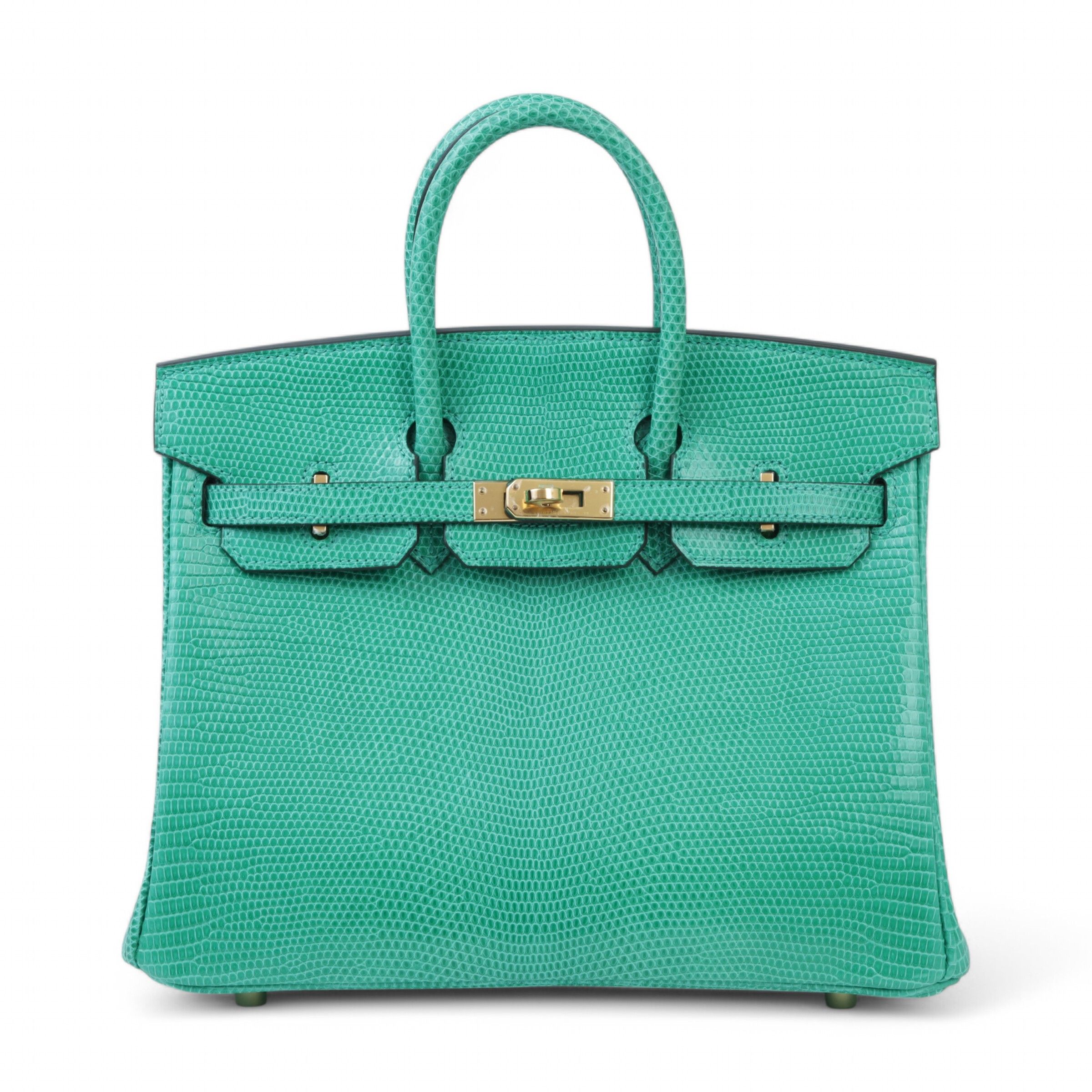Birkin 25 in Lizard