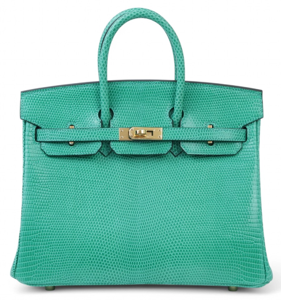 Birkin 25 in Lizard