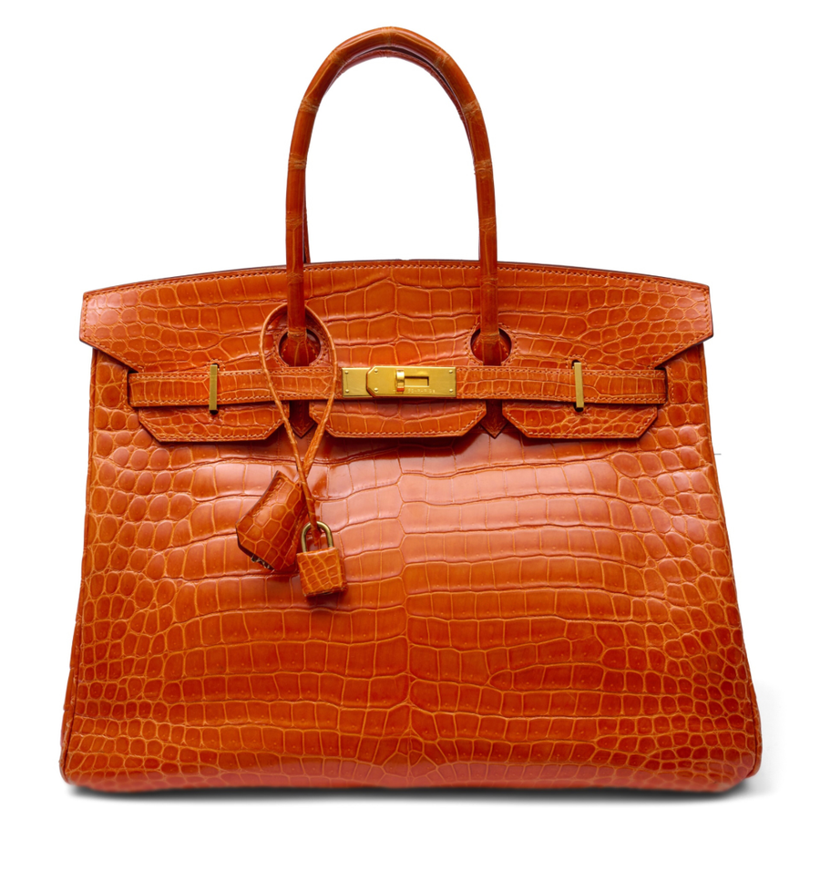 Birkin 35 in Crocodile Porosus