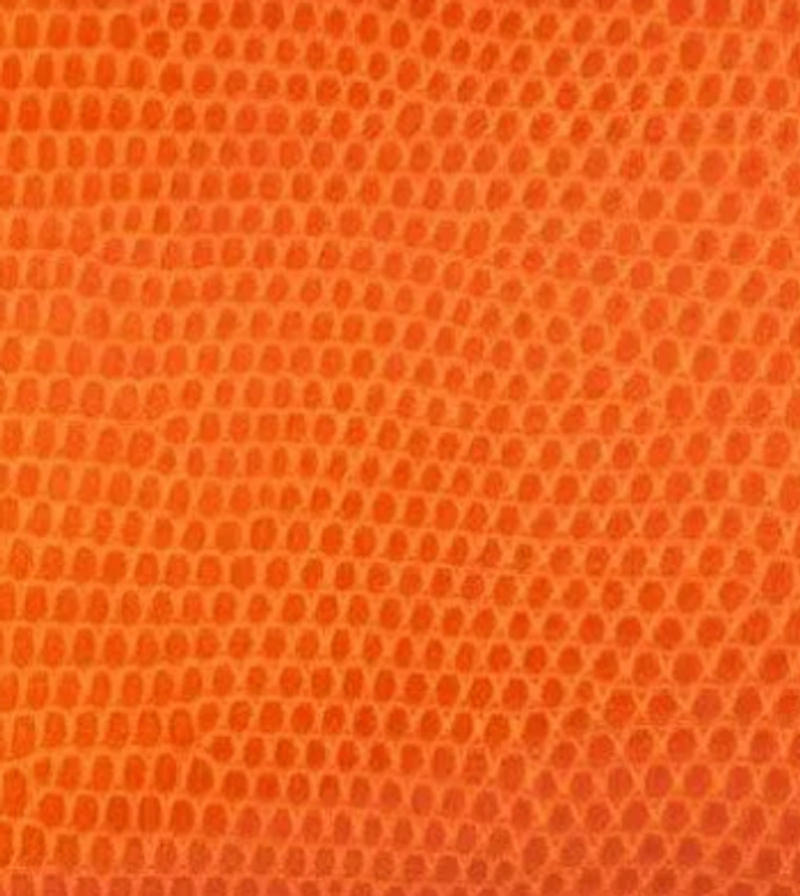 Lizard