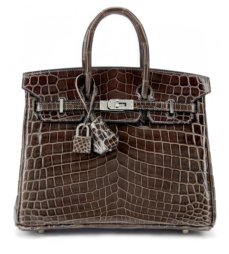 Birkin 25 in Crocodile Niloticus