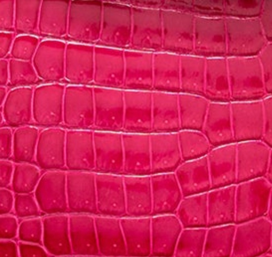 Shiny crocodile