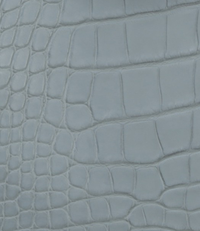 Gris Ciment In Matte Alligator