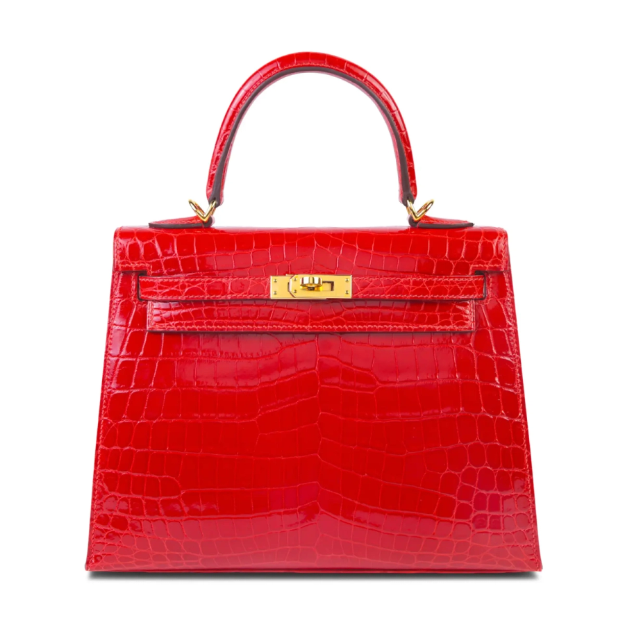 Kelly 25 in Crocodile Niloticus