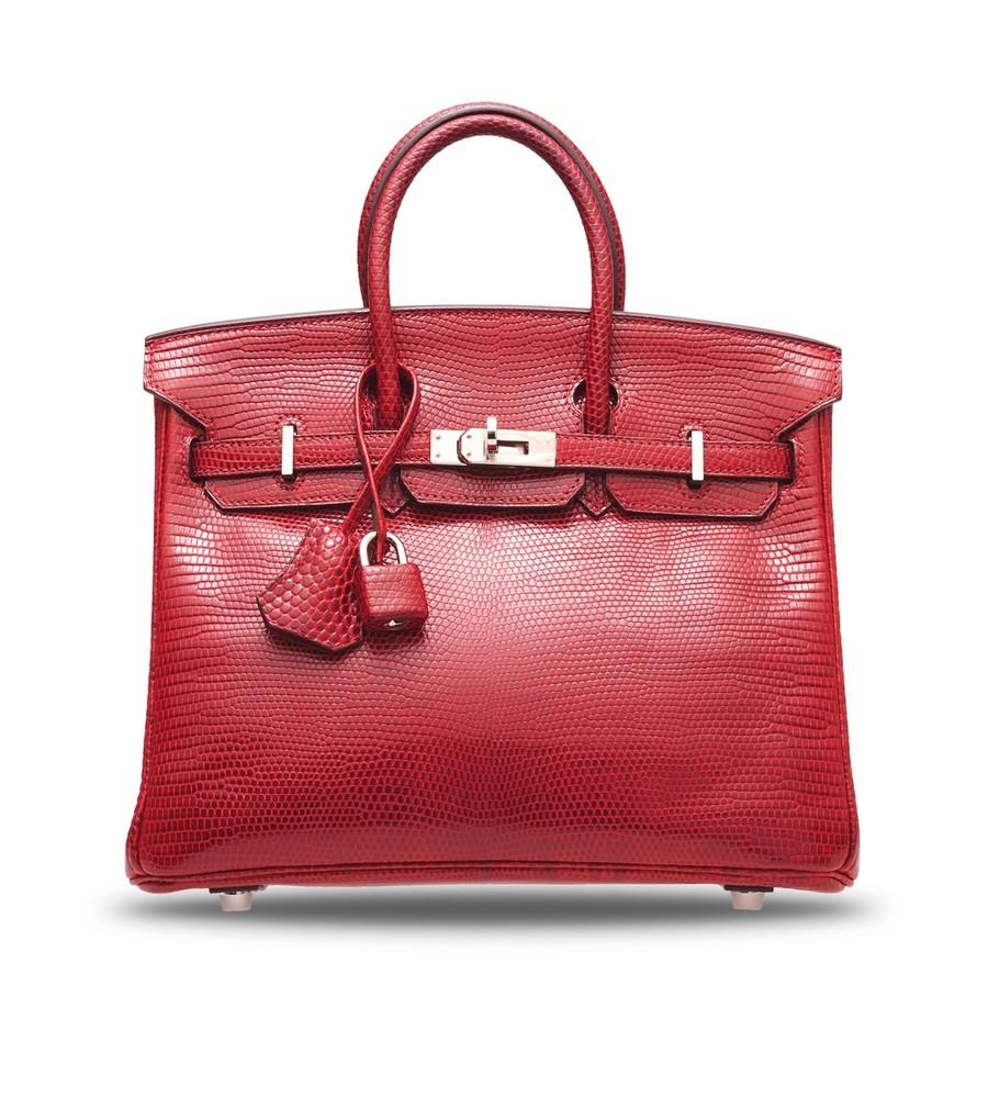 Birkin 25 in lizard
