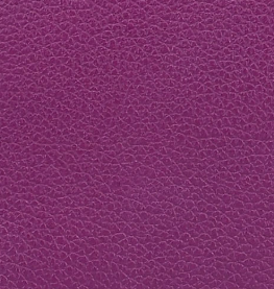 Evercolor 