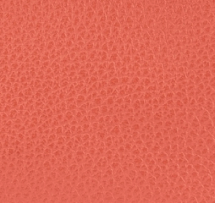 Evercolor