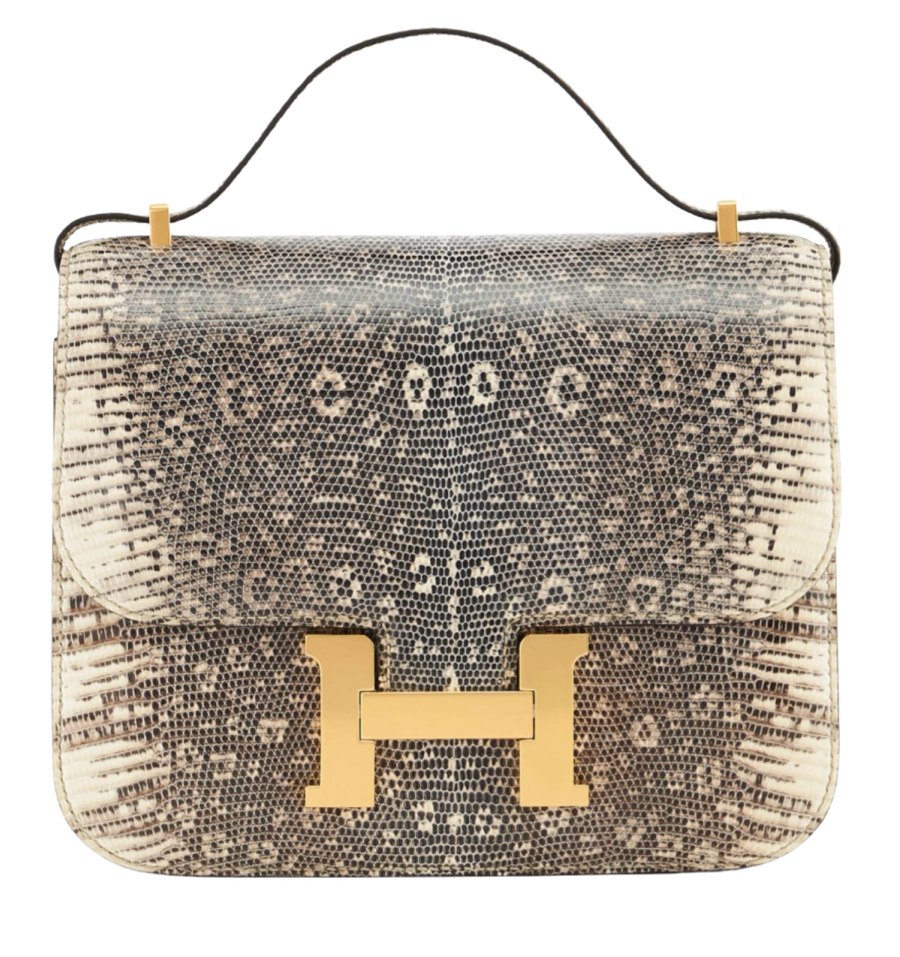 Constance 18 in Lizard Salvator