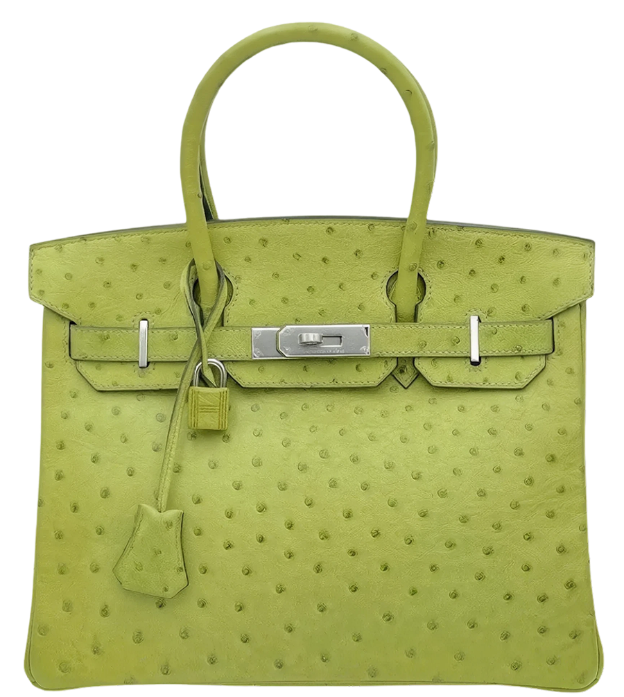 Birkin 30 in Ostrich
