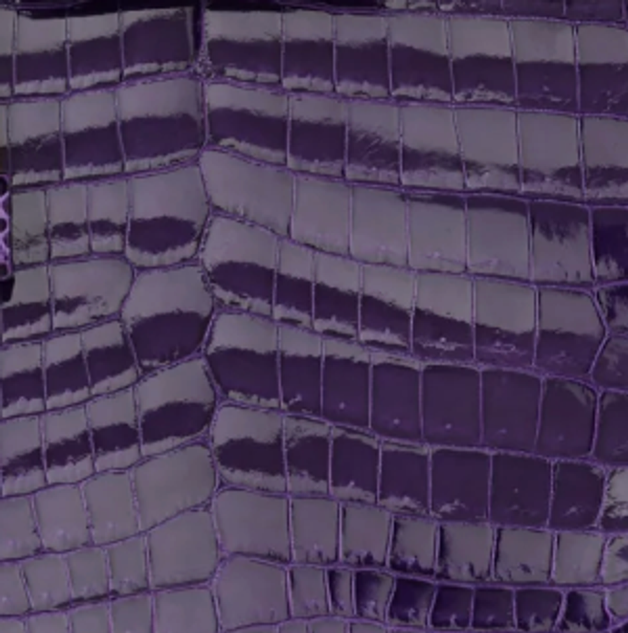 Shiny Niloticus Crocodile