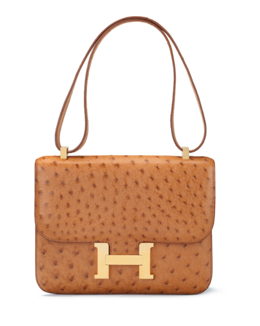 Constance 24 In Ostrich
