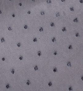 82 - Gris Agate IN  Ostrich