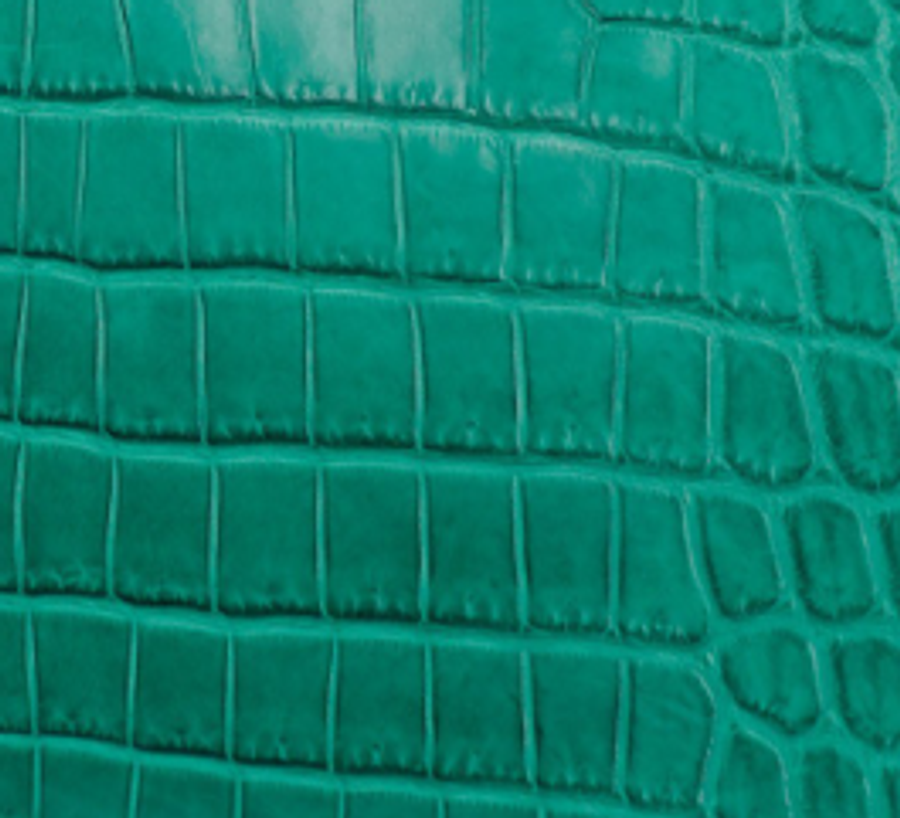 Matte Crocodile Niloticus