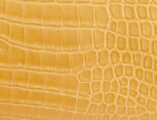 1A - Paille in Alligator