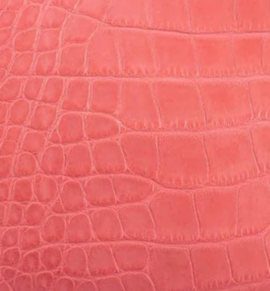 Alligator