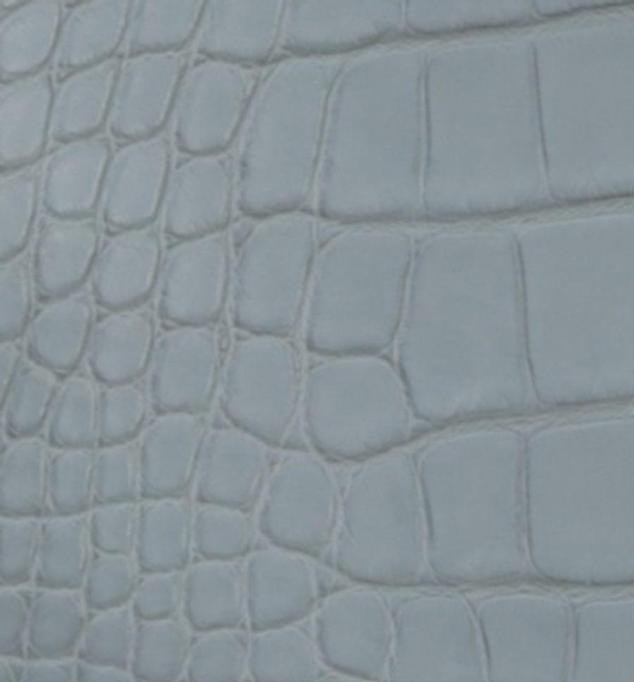 Matte Alligator
