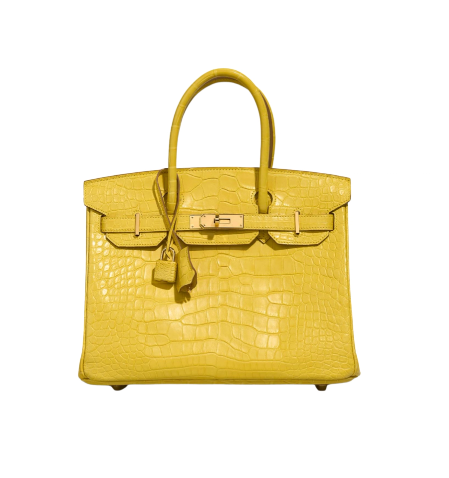 Birkin 30 IN Matte Alligator