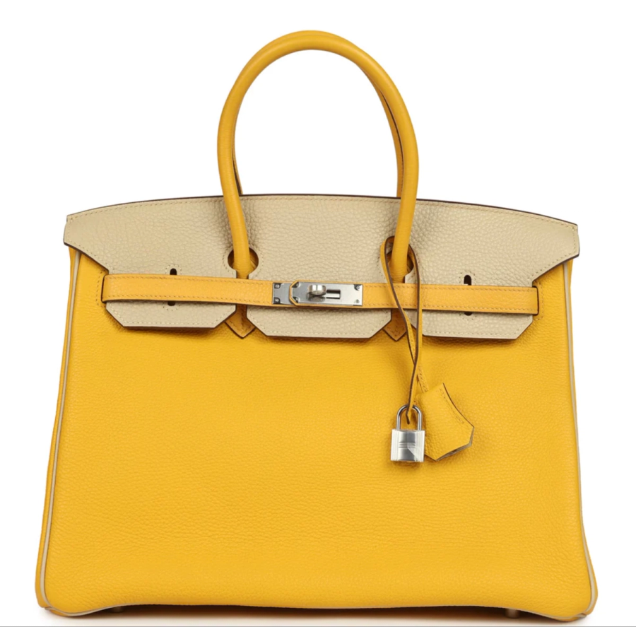 Birkin in togo