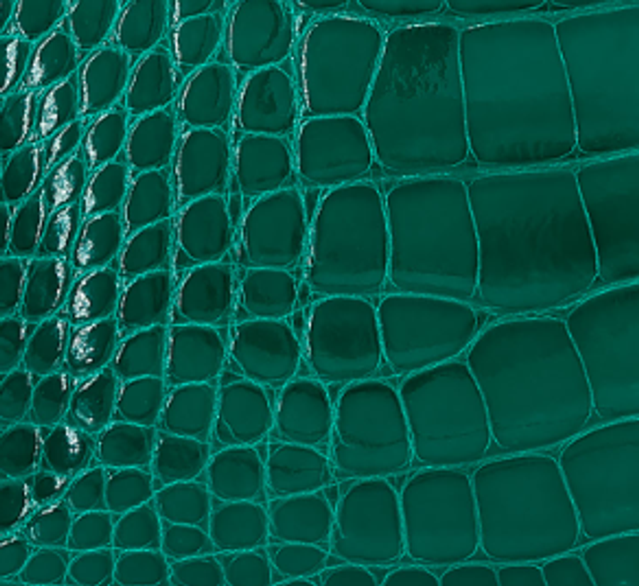 Shiny Alligator