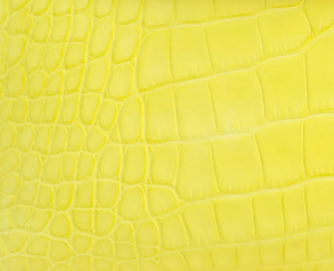 9R - Lime in Matte Alligator