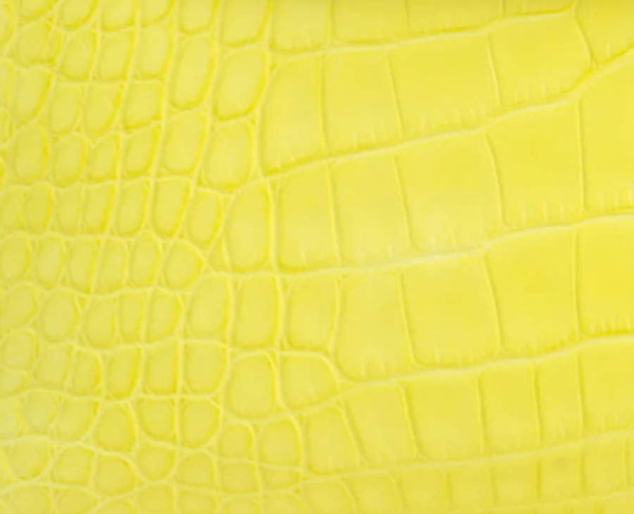 Matte Alligator