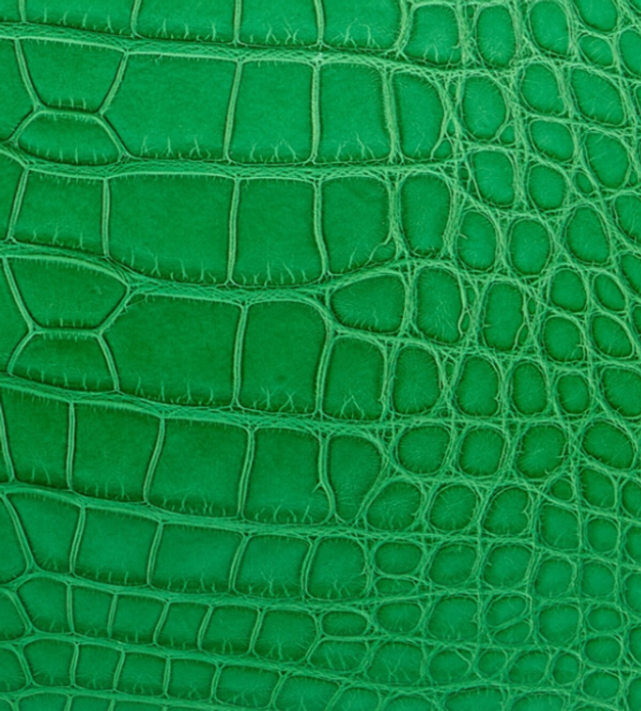 Matte Alligator