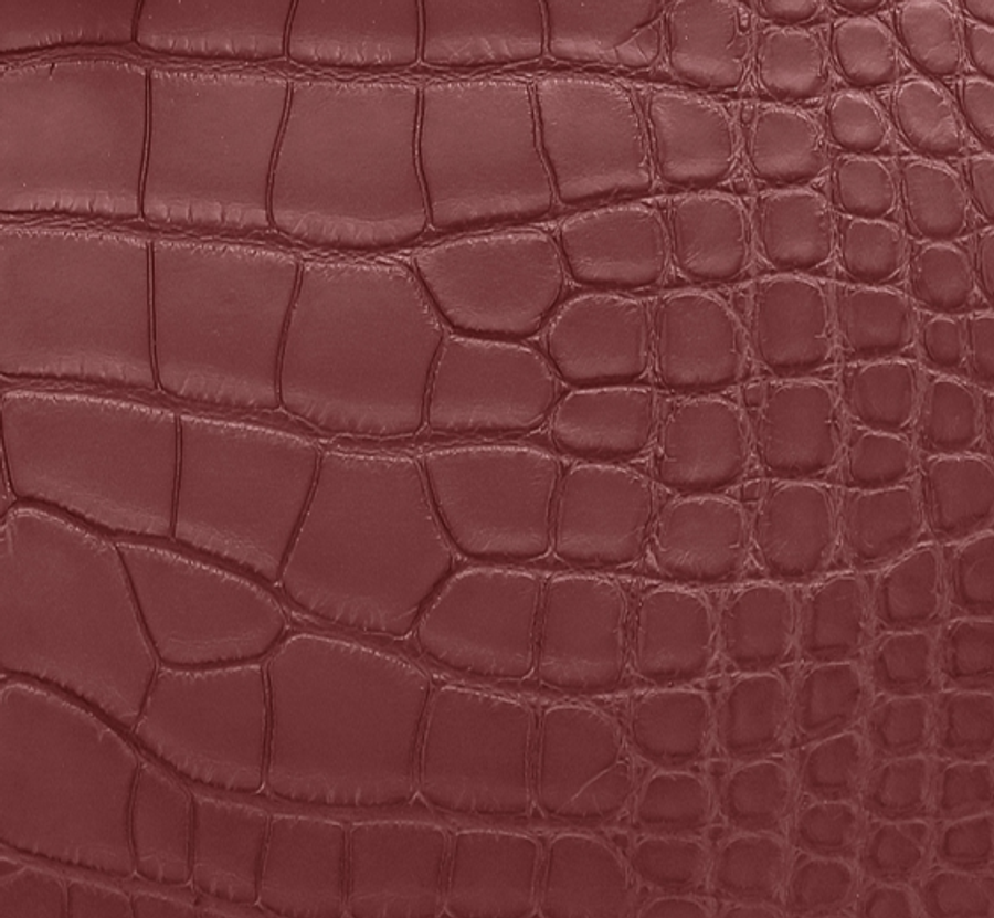 Matte Alligator