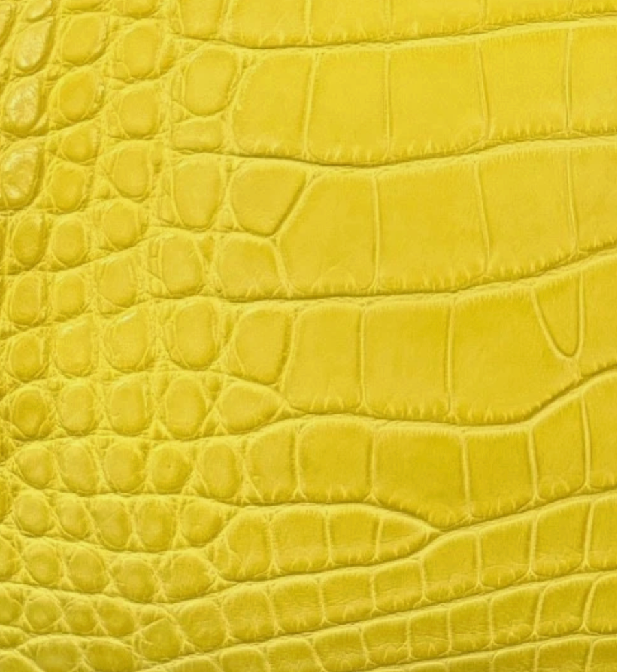 Matte Alligator